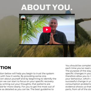 Sober Coaching At Home 1 On 1 Addiction Recovery Program With Ian Young